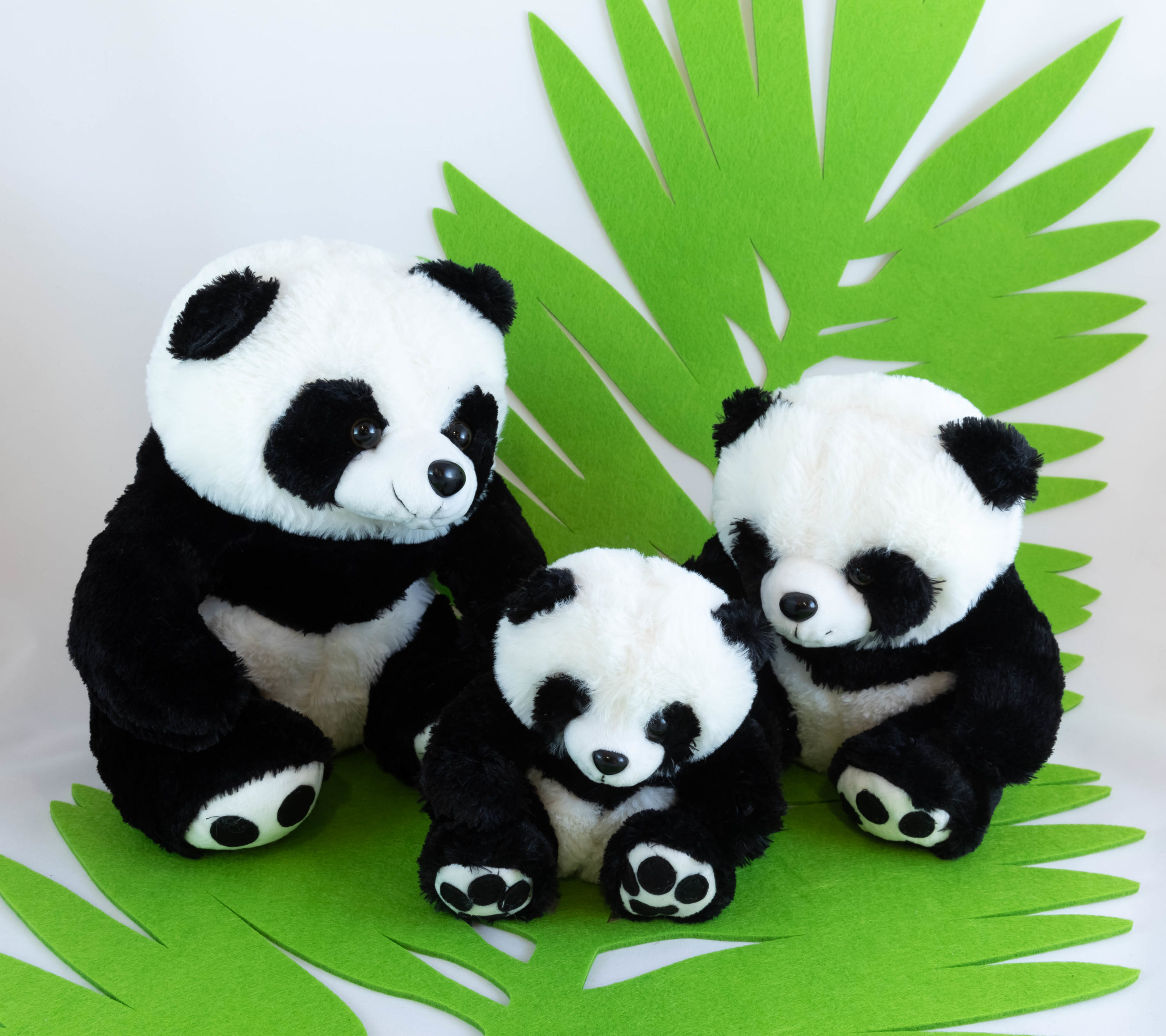 Peluche - Panda Image